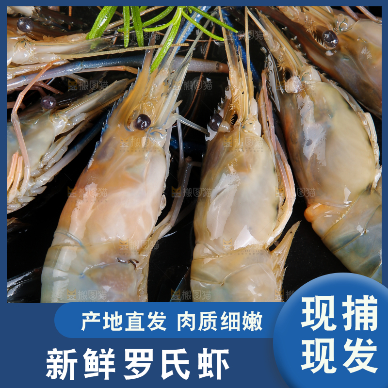 盘子里装着的罗氏沼虾