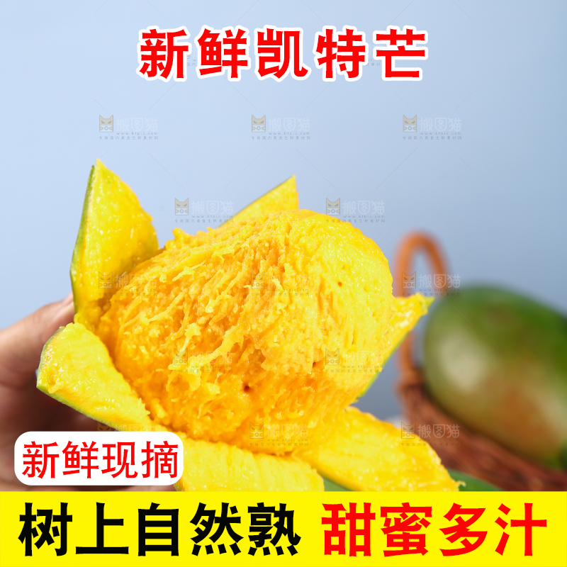 手上拿着的攀枝花凯特芒