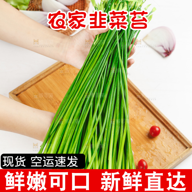 手上捧着韭苔