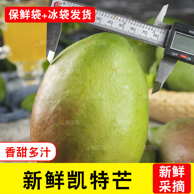 手上测量着凯特芒