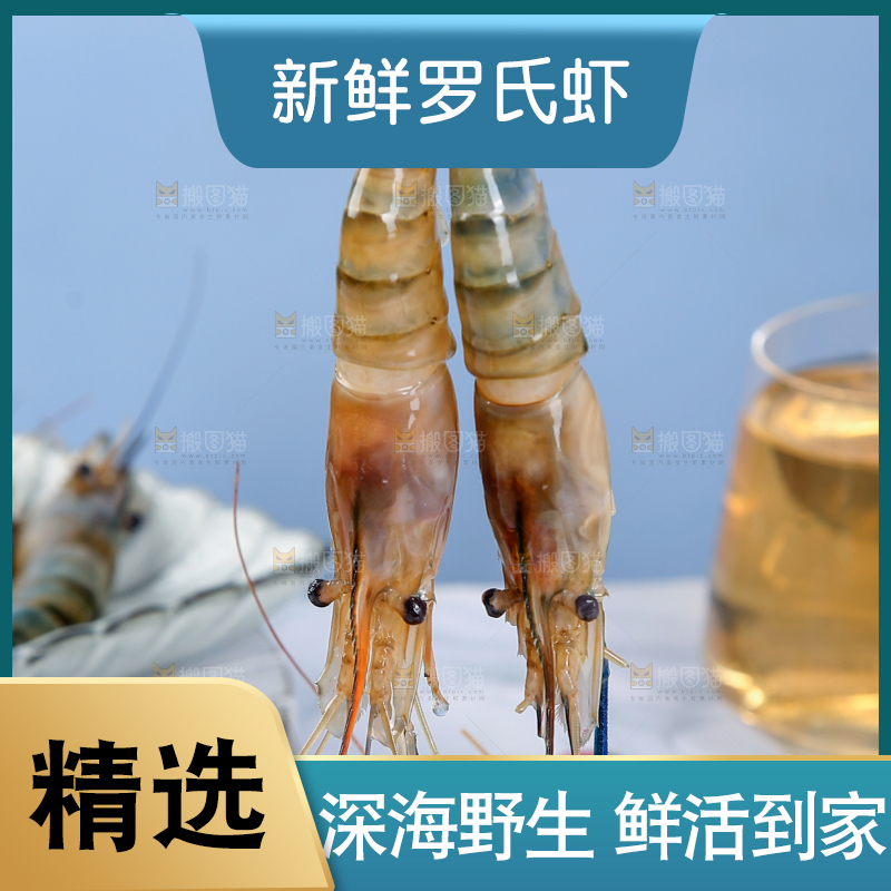 手上拿着罗氏虾