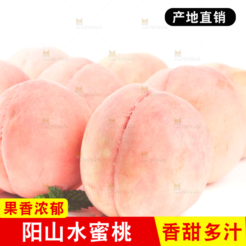 白底上摆放着无锡阳山水蜜桃