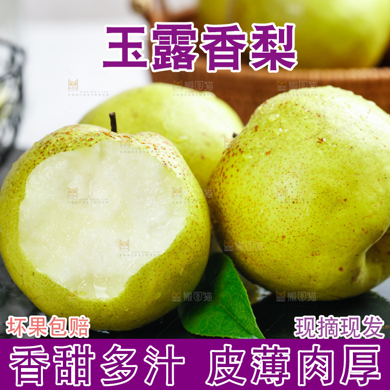 黑底上放着隰县玉露香梨