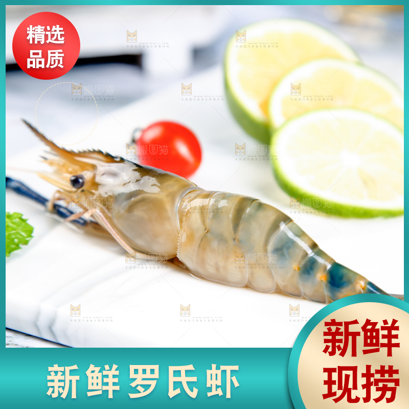 石底上放着罗氏沼虾