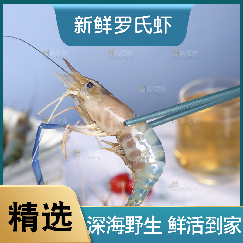 筷子夹着的罗氏虾
