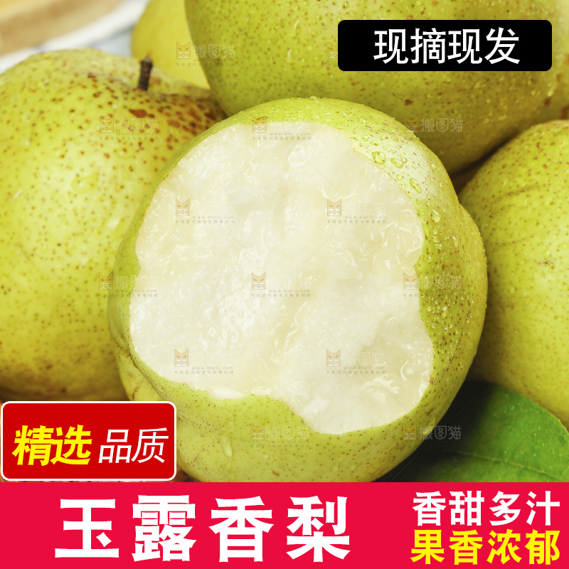 篮子里放着的隰县玉露香梨