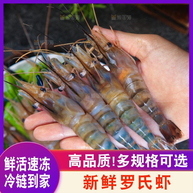 手上捧着罗氏沼虾