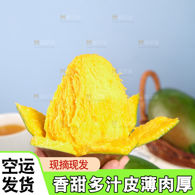 手上拿着的攀枝花凯特芒