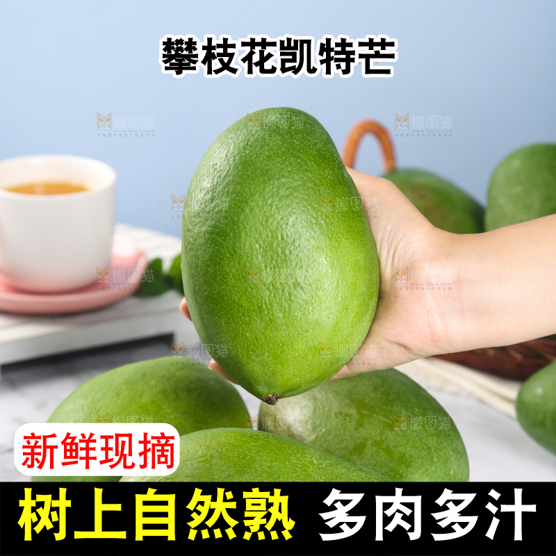 手上拿着的攀枝花凯特芒