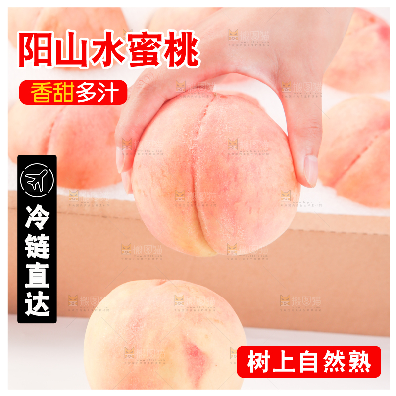 手拿着阳山水蜜桃