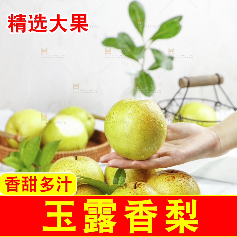 手上拿着的玉露香梨