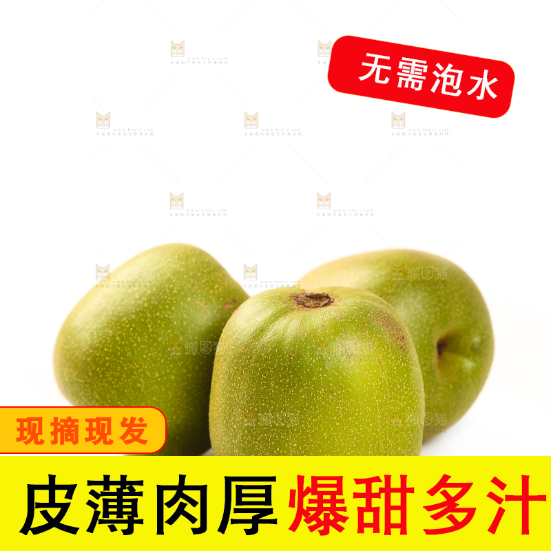 白底上的猕猴桃
