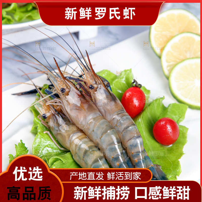 石底上放着罗氏沼虾