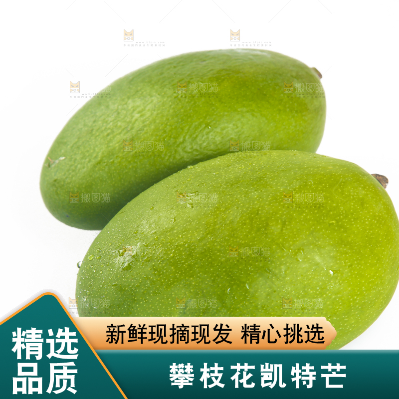 白底上的凯特芒果