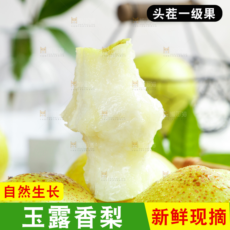 新鲜的山西玉露香梨