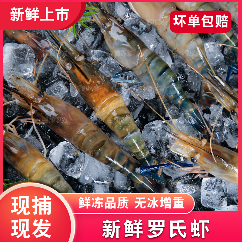冰冻罗氏虾