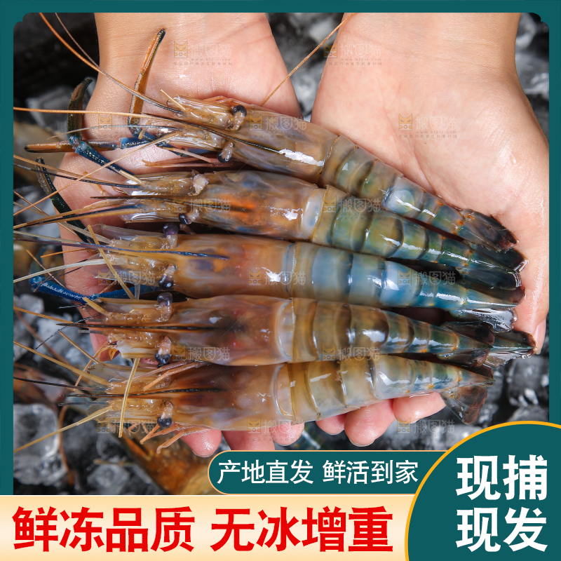 手上捧着罗氏沼虾