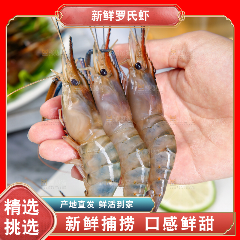 手上拿着罗氏虾