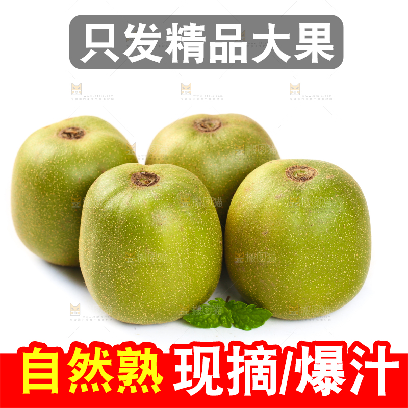 白底上的猕猴桃