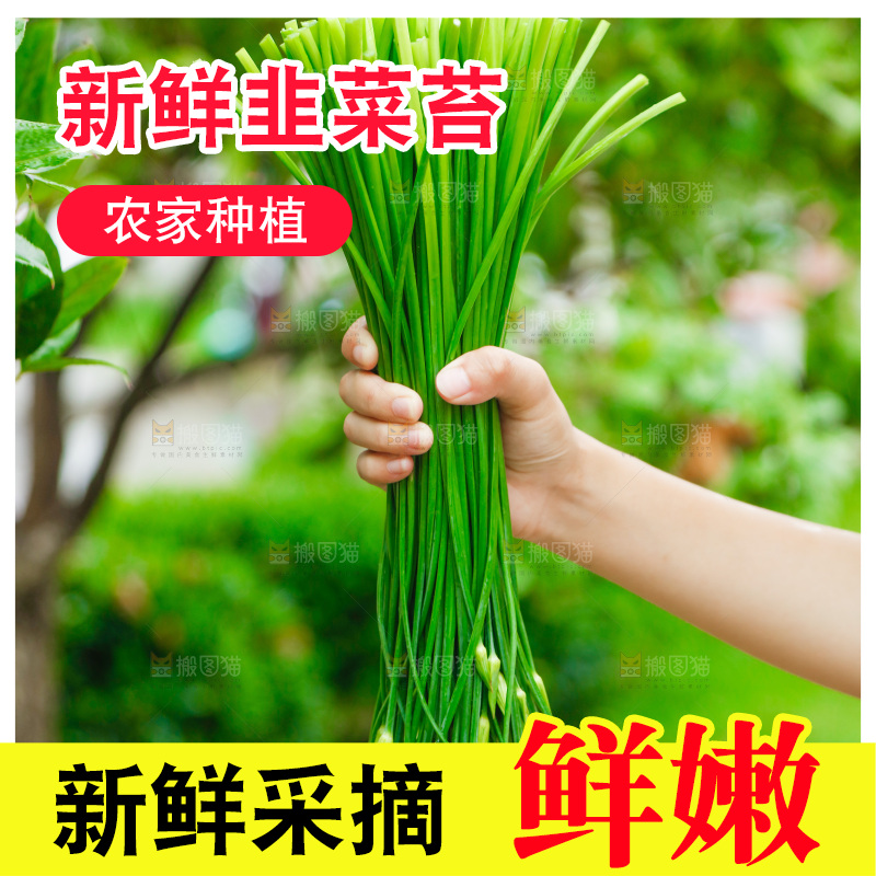 手上拿着韭菜苔