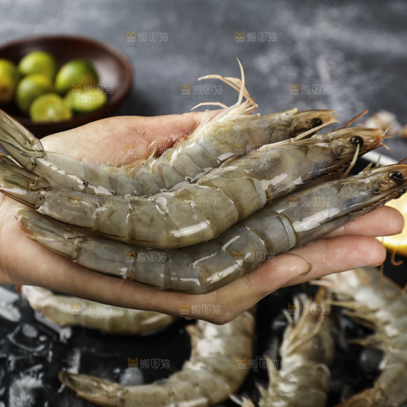 放在手上的大虾