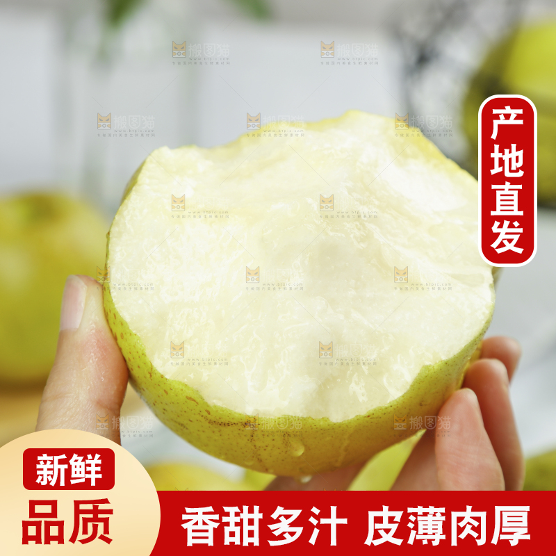 手上拿着的玉露香梨