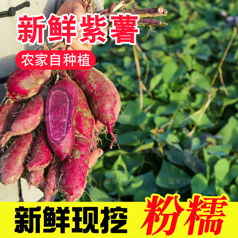 手里拿着一串紫罗兰紫薯