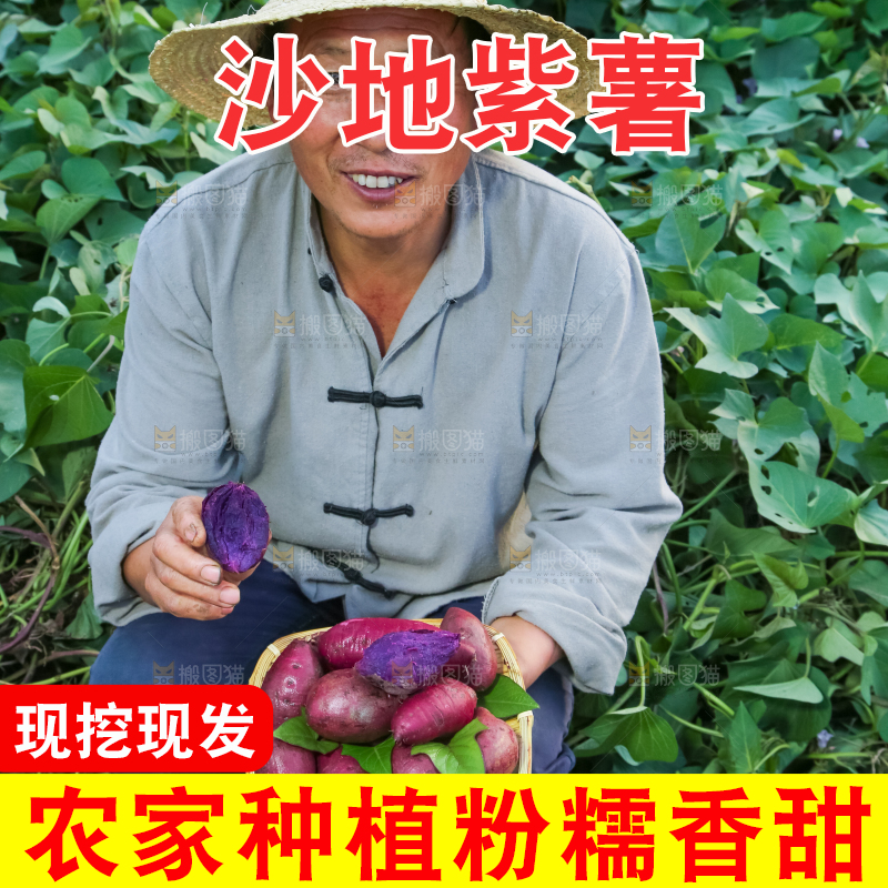 农民手里拿着一盘紫薯