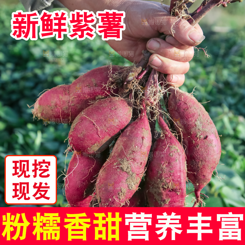 手里拿着一串紫薯