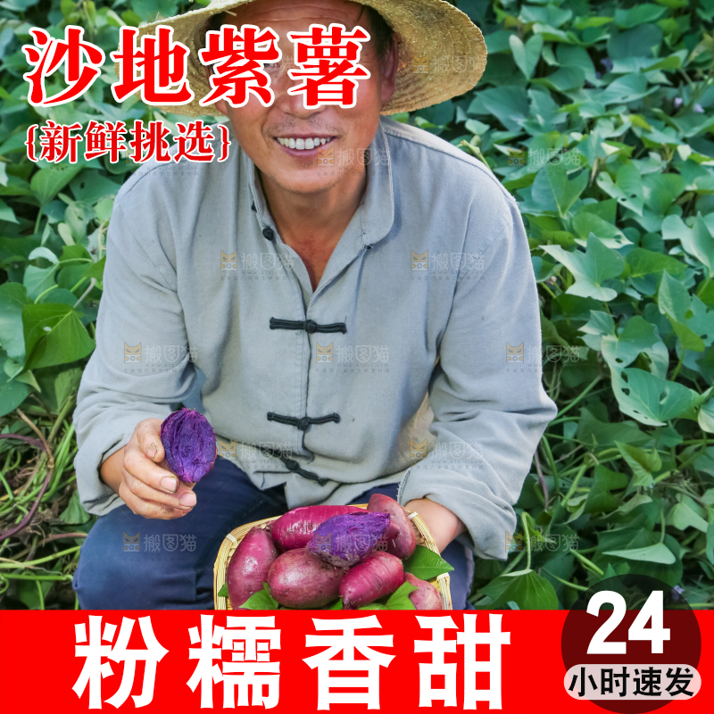 农民手里拿着一盘紫薯