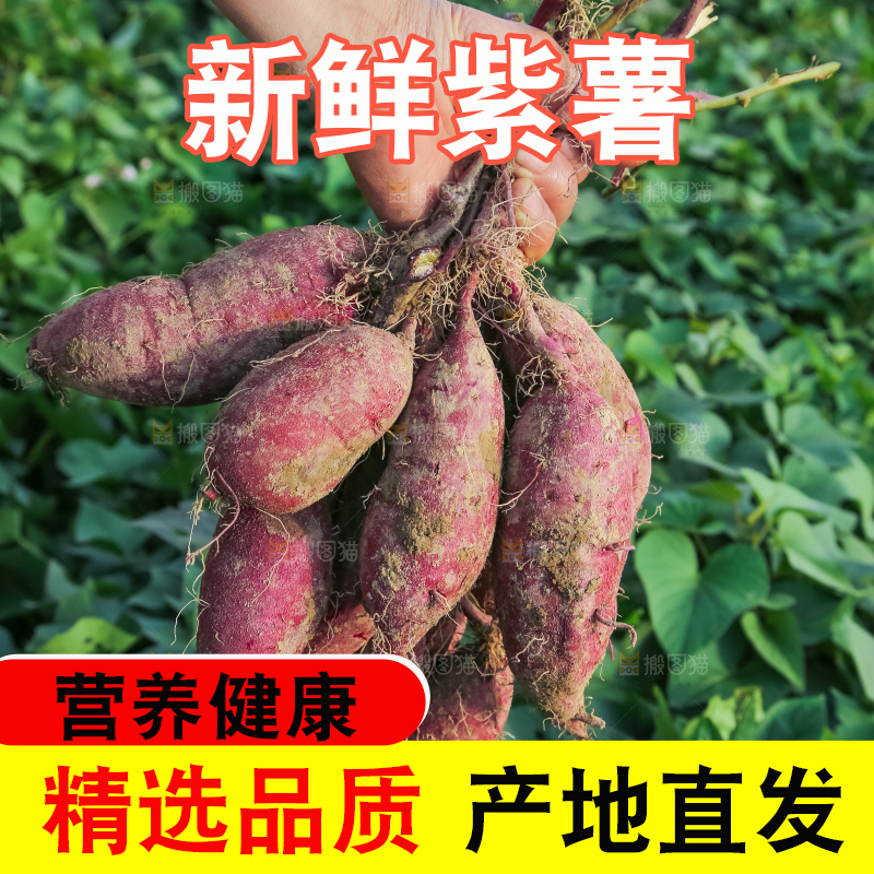 手里拿着一串紫薯