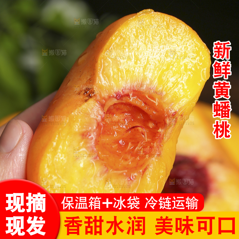 手拿着新鲜黄蟠桃