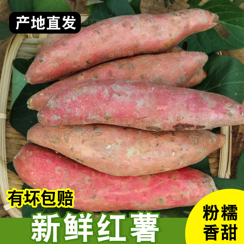 地里放着一盘红薯