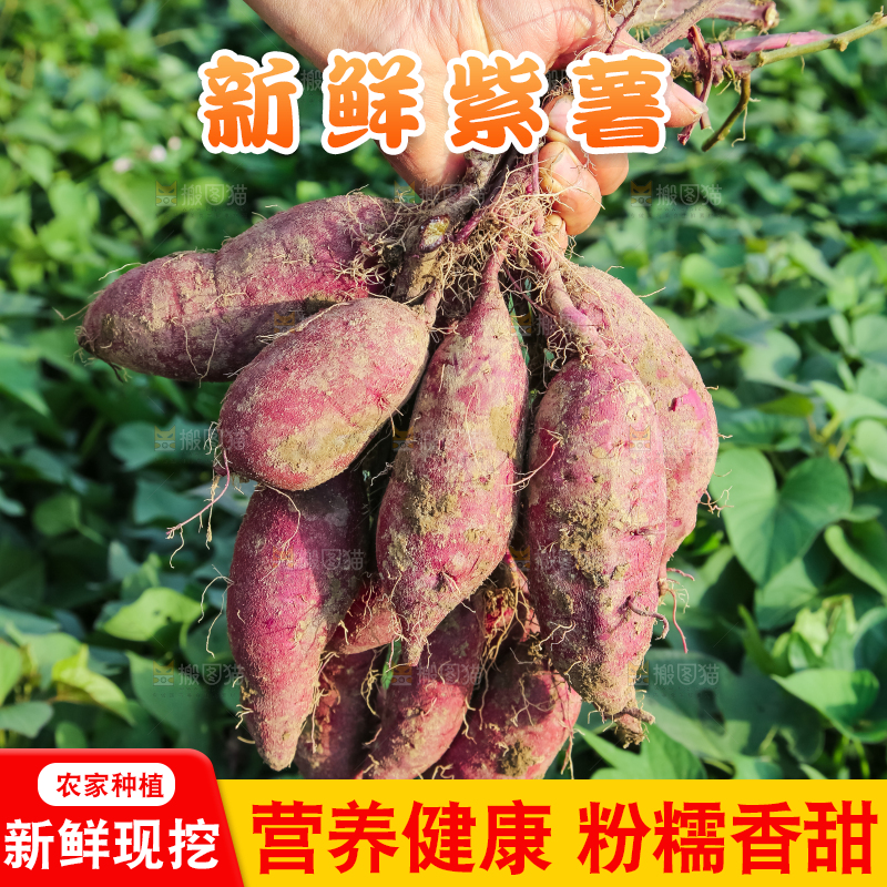 手里拿着一串紫薯