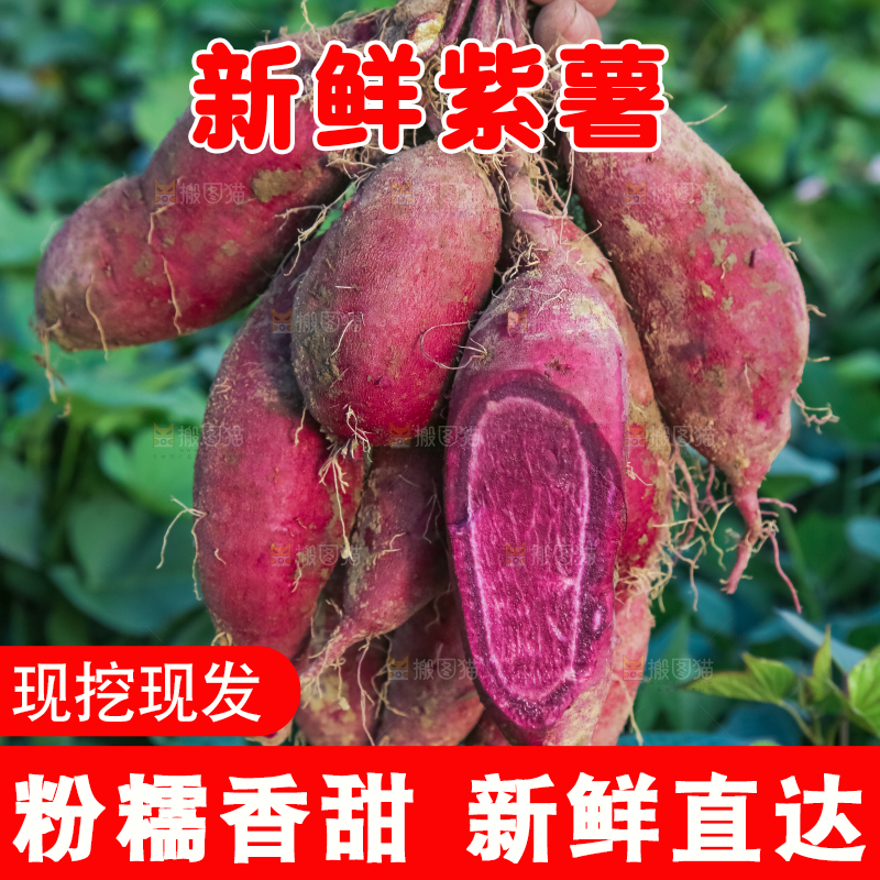 手里拿着一串紫薯