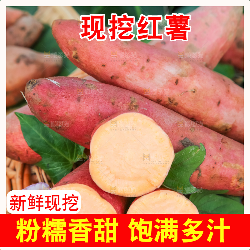 田地里放着切开的黄心红薯