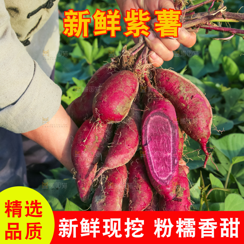 手里拿着一串紫罗兰紫薯