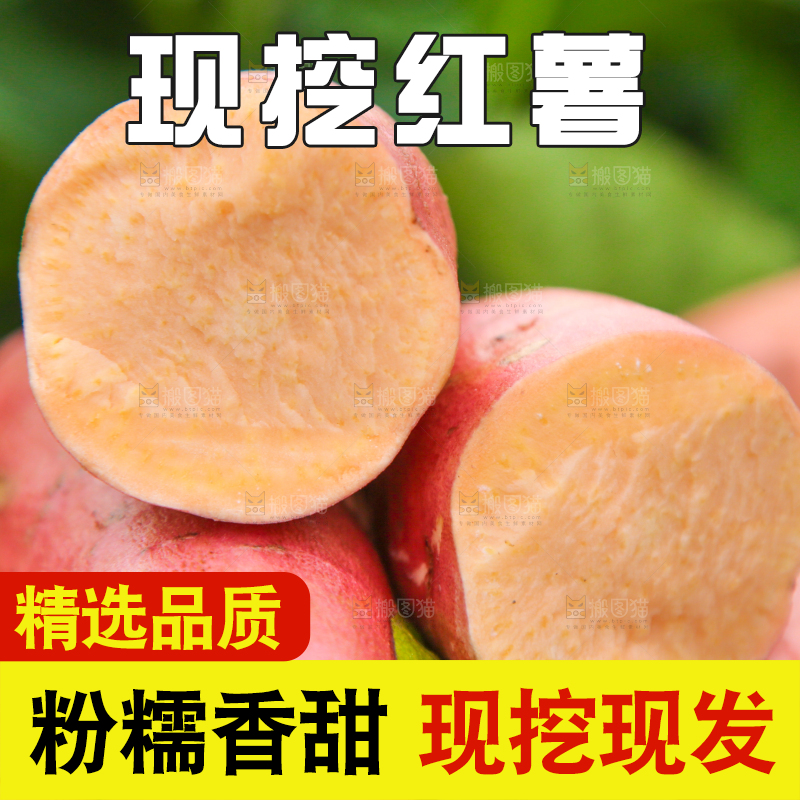 堆放着的新鲜红薯