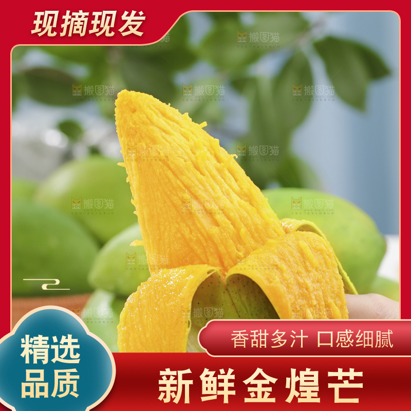 手上拿着剥皮的金煌芒