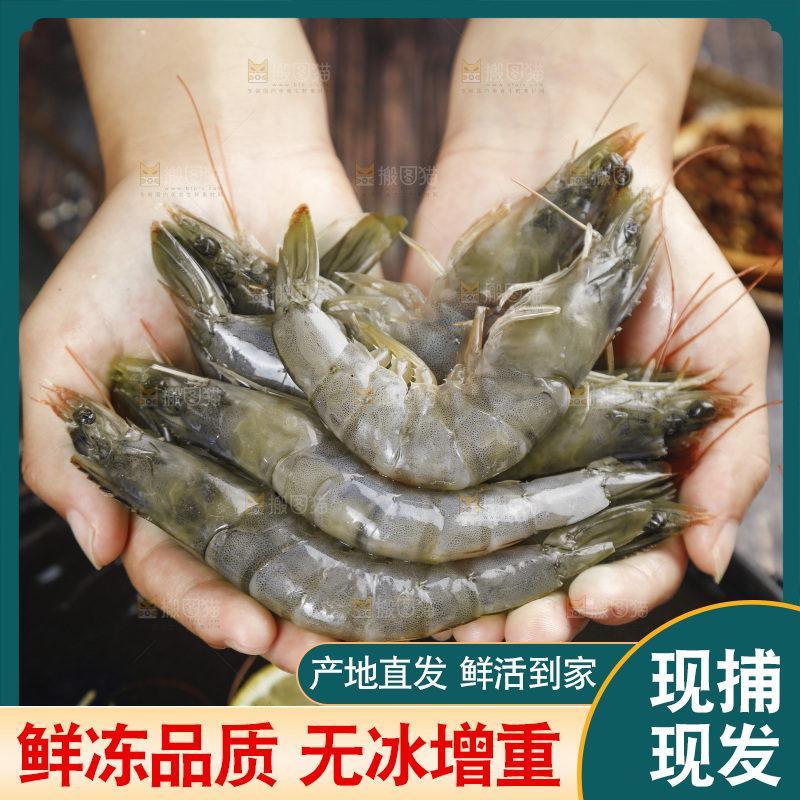 放在手上的对虾