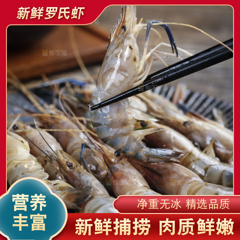 筷子上夹着罗氏沼虾