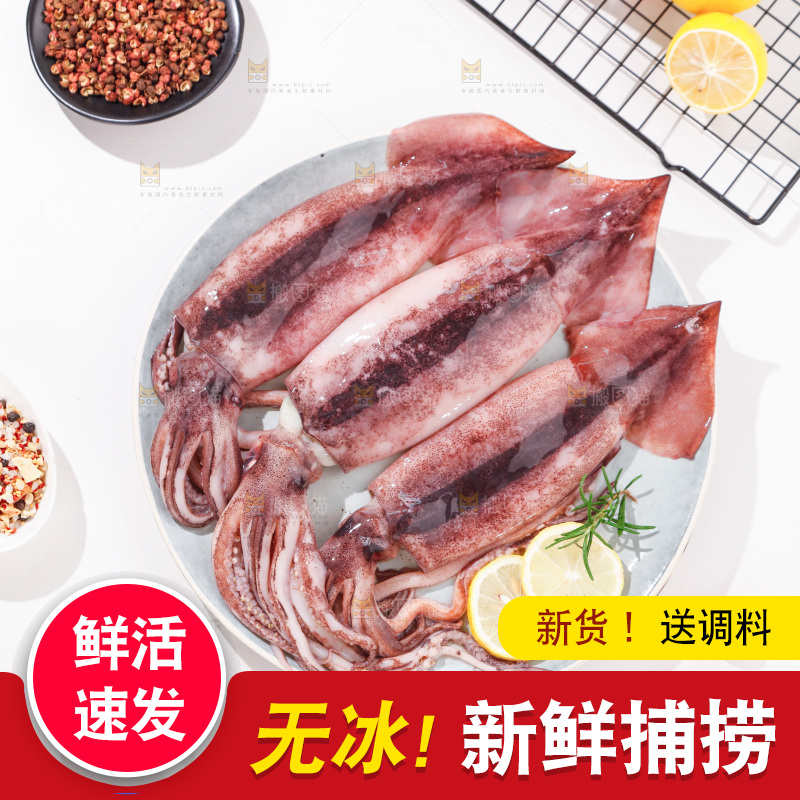白底上放着一盘鱿鱼