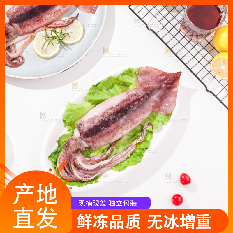 白底上放着一盘鱿鱼