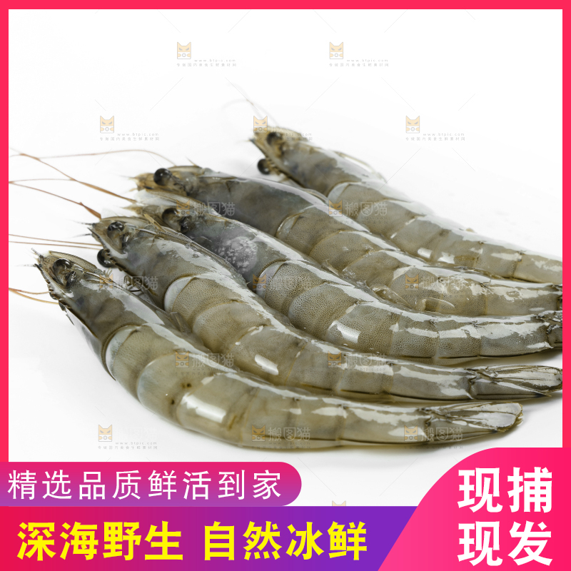 白底上放着青岛大虾