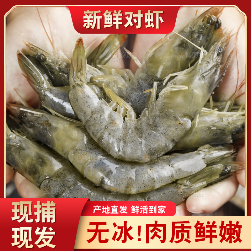 放在手上的对虾