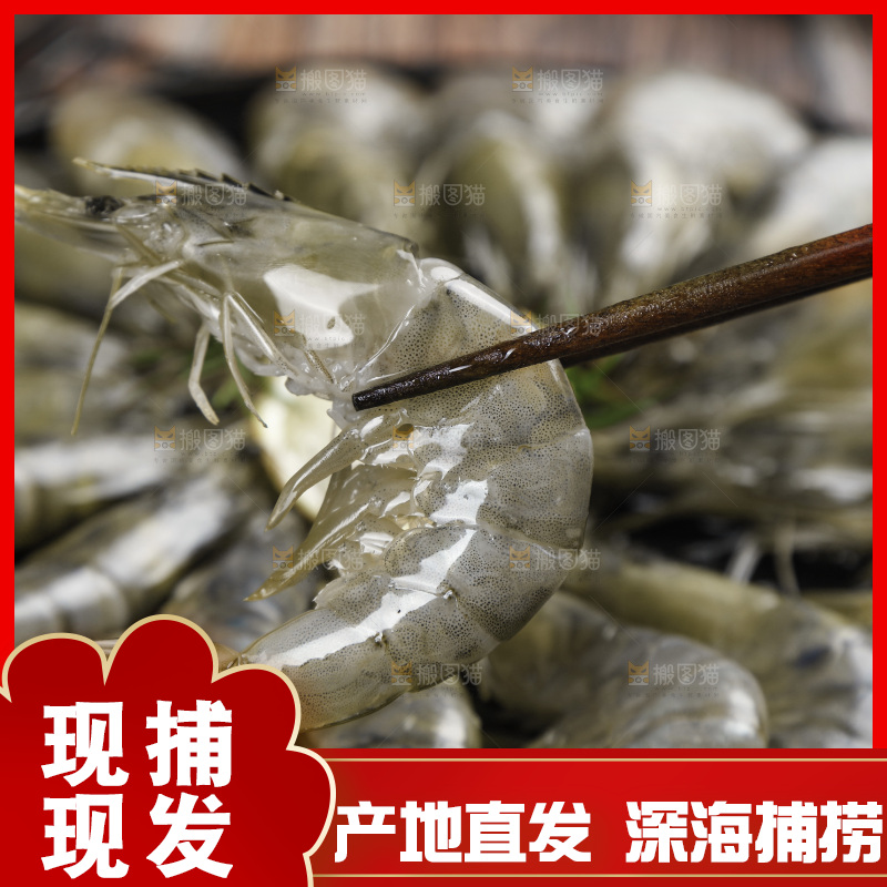 筷子上夹着大虾