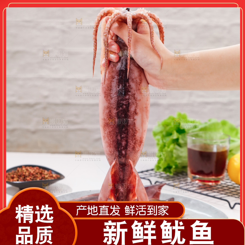 手上拿着大鱿鱼