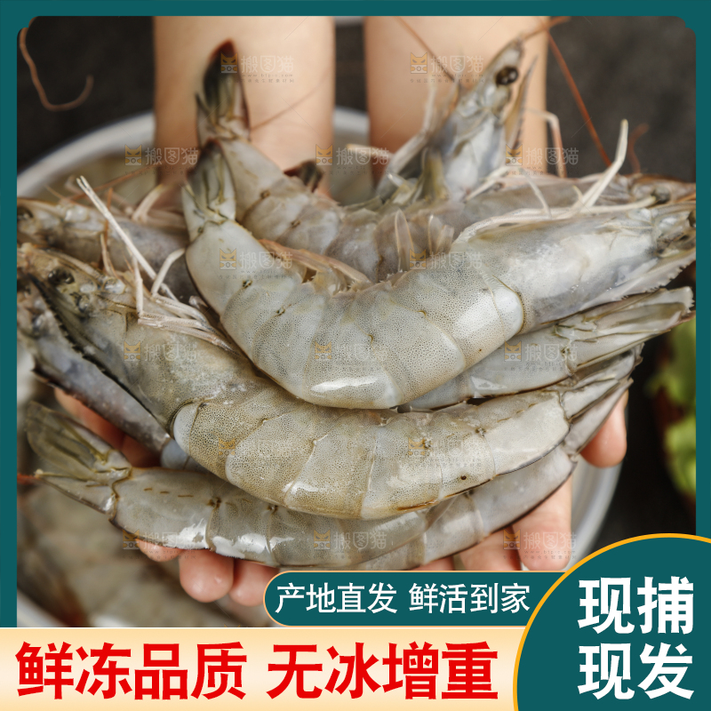 手上放着新鲜对虾