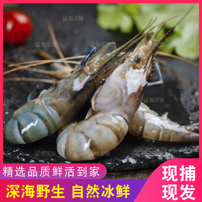 深底上放着罗氏沼虾