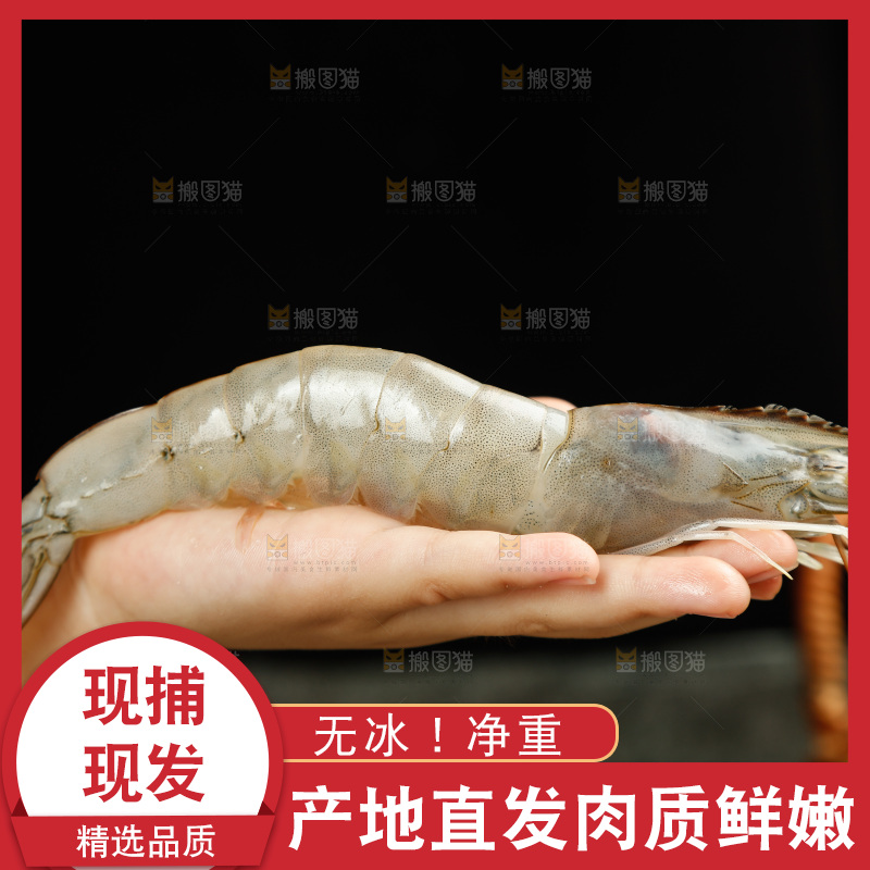 手上放着新鲜对虾